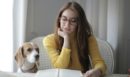 Κατοικίδια: Η άνοδος του pet sitting στην Ελλάδα - Πόσο κοστίζει η φιλοξενία