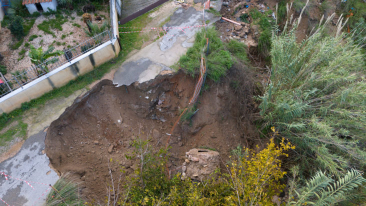 πικροδάφνη