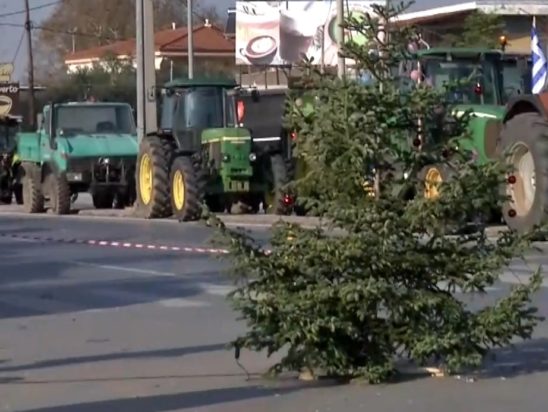 Αγρότες, πράσινα φανάρια, Χριστουγεννιάτικο δέντρο