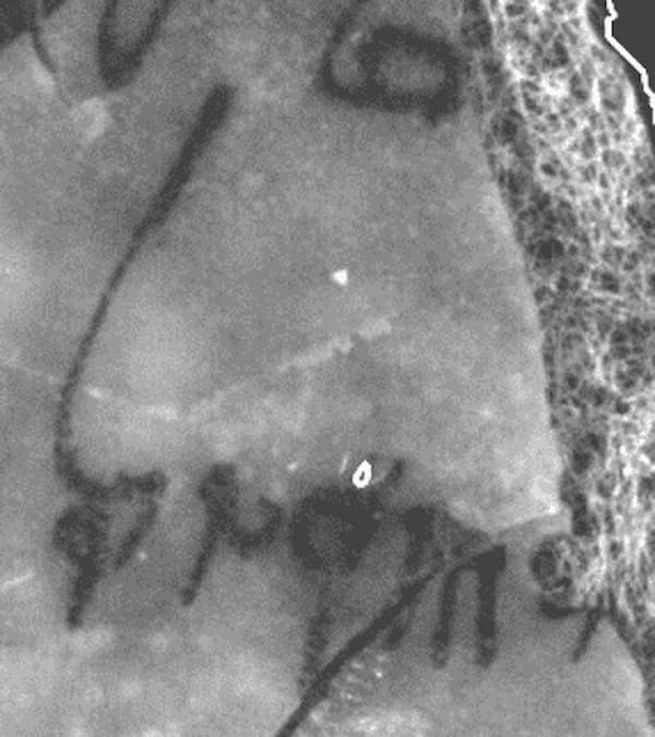 Η λέξη «Ισραήλ» σε ένα από τα χειρόγραφα. Φωτογραφία: Ψηφιακή Βιβλιοθήκη Νεκράς Θάλασσας Leon Levy, Αρχή Αρχαιοτήτων του Ισραήλ