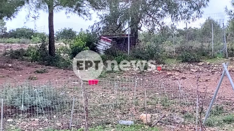 Τραγωδία στη Ζάκυνθο: Συνελήφθησαν οι γονείς του 2χρονου παιδιού που του επιτέθηκε θανάσιμα σκύλος – Τα ερωτήματα