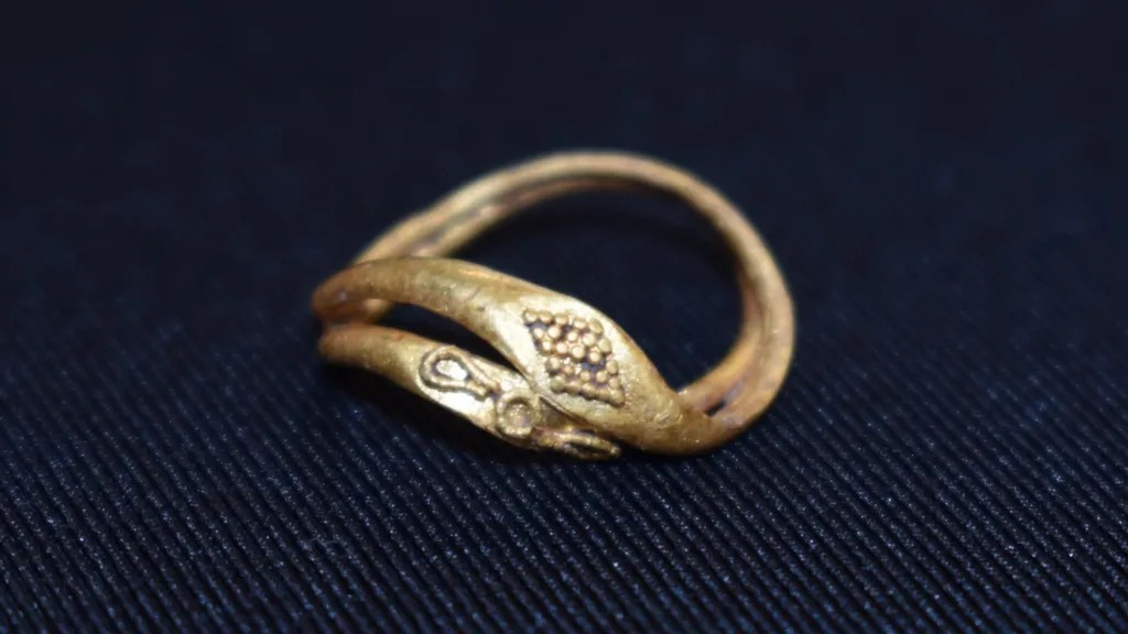 Ένα από τα ενωμένα δαχτυλίδια είναι διακοσμημένο με 25 μικροσκοπικά χρυσά σφαιρίδια, τοποθετημένα σε σχήμα ρόμβου. Φωτογραφία: Colchester Archaeological Trust 