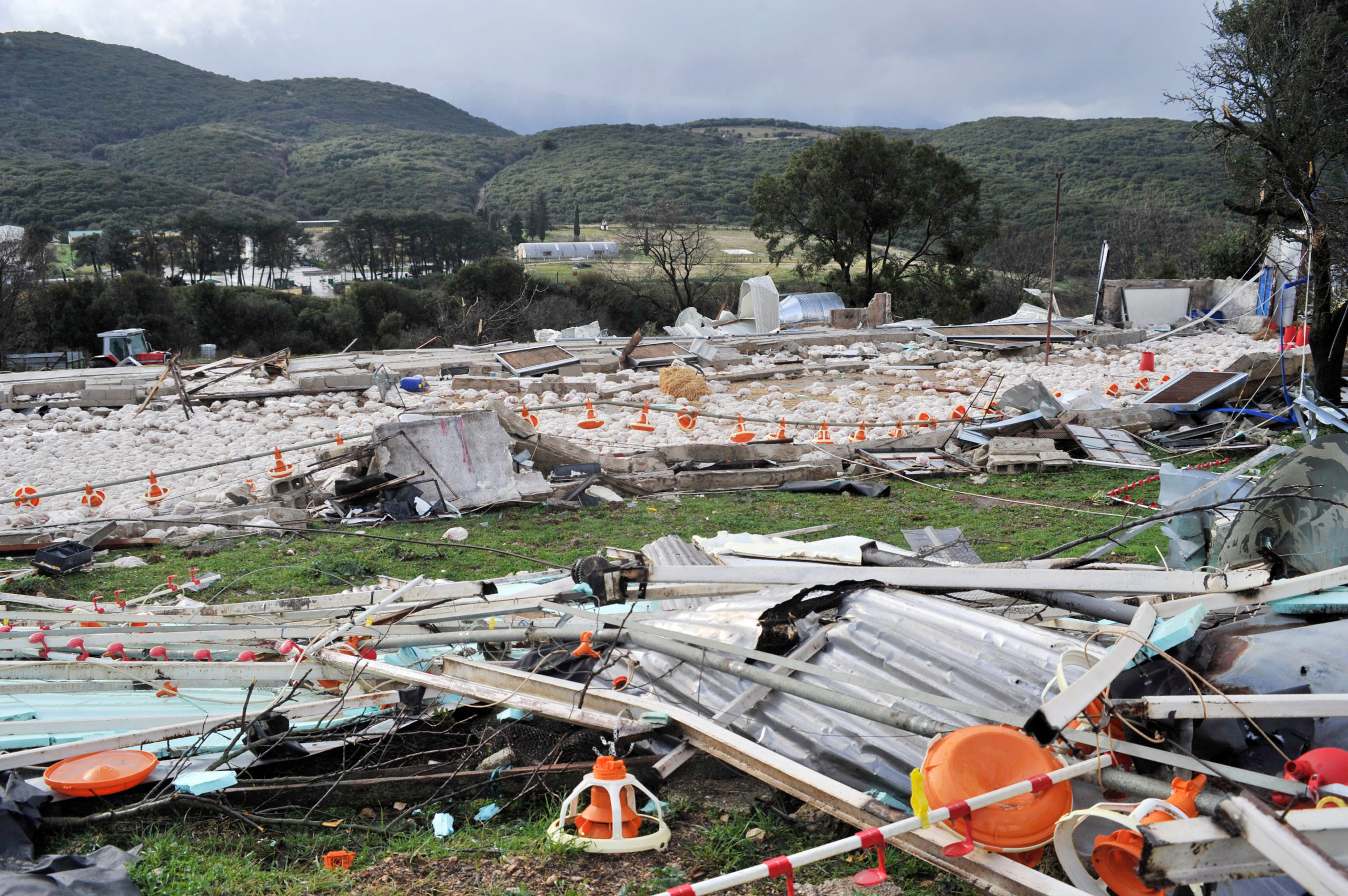 Ήπειρος, κακοκαιρία, ανεμοστρόβιλος, Καλπάκι, πτηνοτροφική μονάδα, κοτόπουλα
