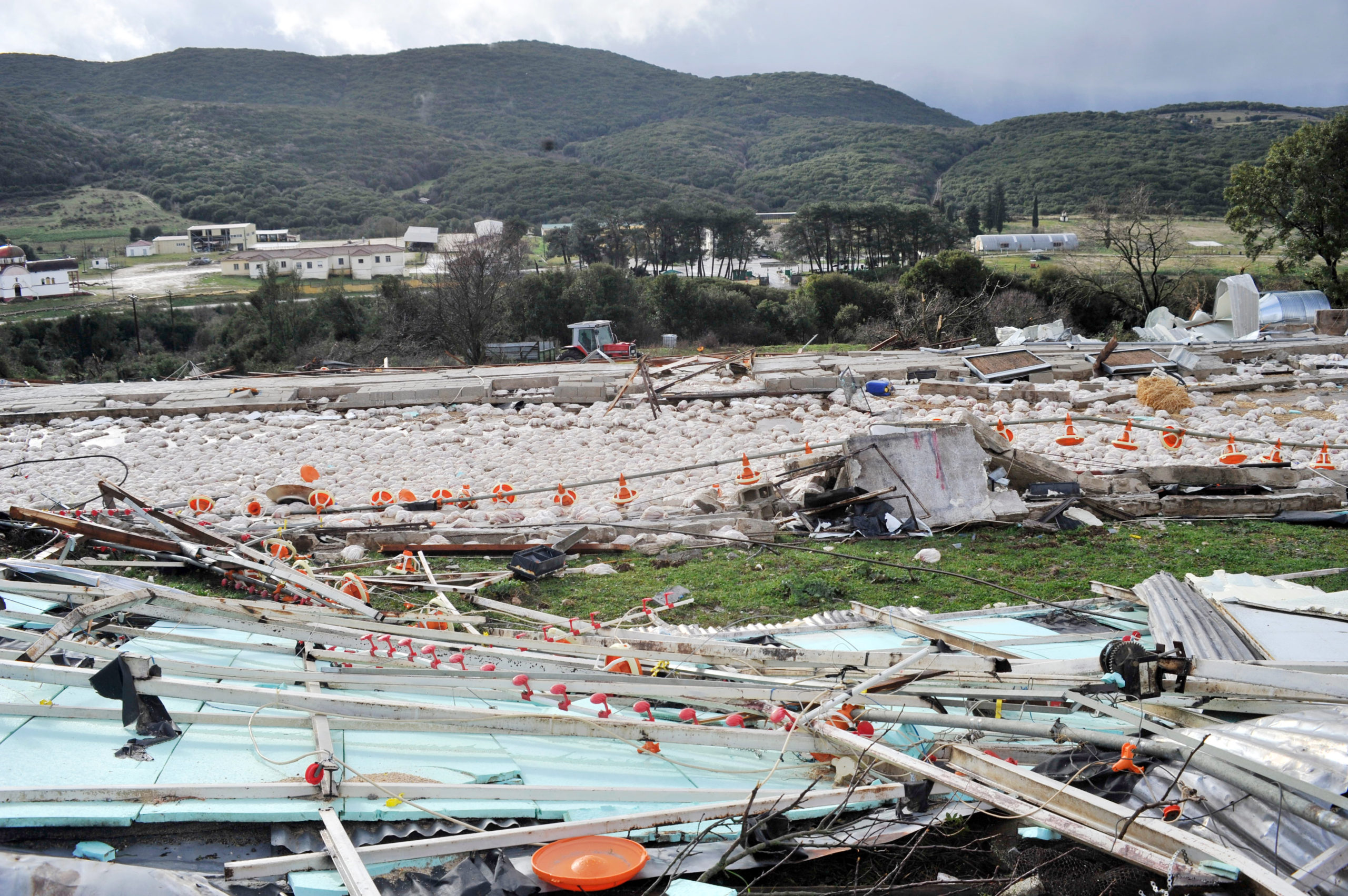 Ήπειρος, κακοκαιρία, ανεμοστρόβιλος, Καλπάκι, πτηνοτροφική μονάδα, κοτόπουλα