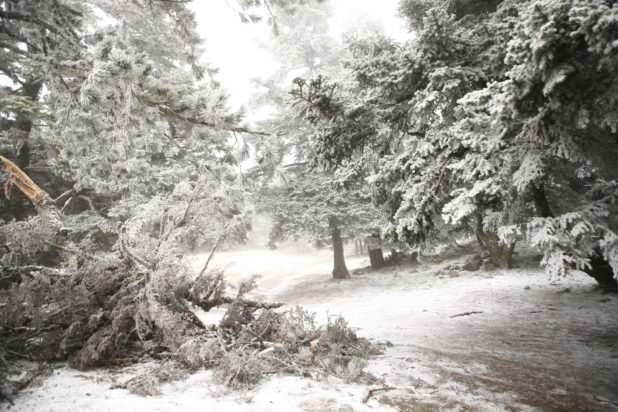 Πάρνηθα χιόνια