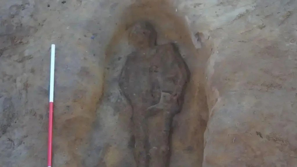 Το αγγλοσαξονικό πόνι, το οποίο θα είχε ύψος περίπου 1,4 μέτρα. Φωτογραφία: BBC