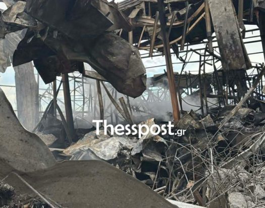 ΤΡΙΚΑΛΑ ΤΡΑΓΩΔΙΑ ΒΙΟΛΑΝΤΑ