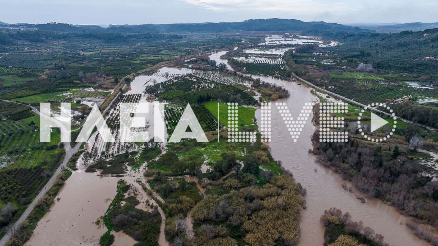 Αλφειός: Ανέβηκε η στάθμη στον ποταμό, κάλυψε τα νεκρά πρόβατα που είχαν εντοπιστεί – «Οι βροχές θα επιδεινώσουν την κατάσταση» λένε αγρότες 