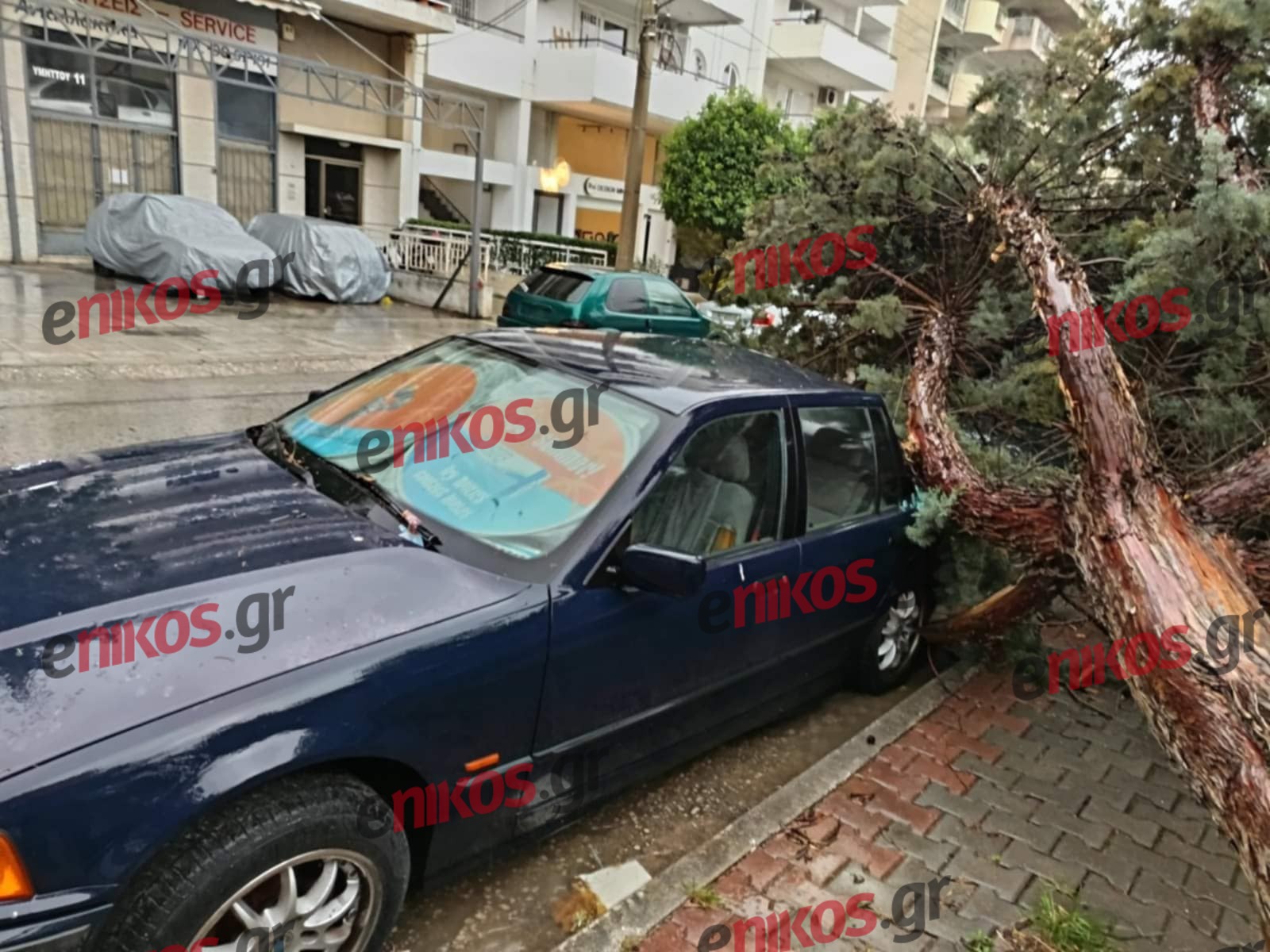 Αργυρούπολη: Δέντρο ξεριζώθηκε και έπεσε πάνω σε αυτοκίνητο – Δείτε φωτογραφίες και βίντεο