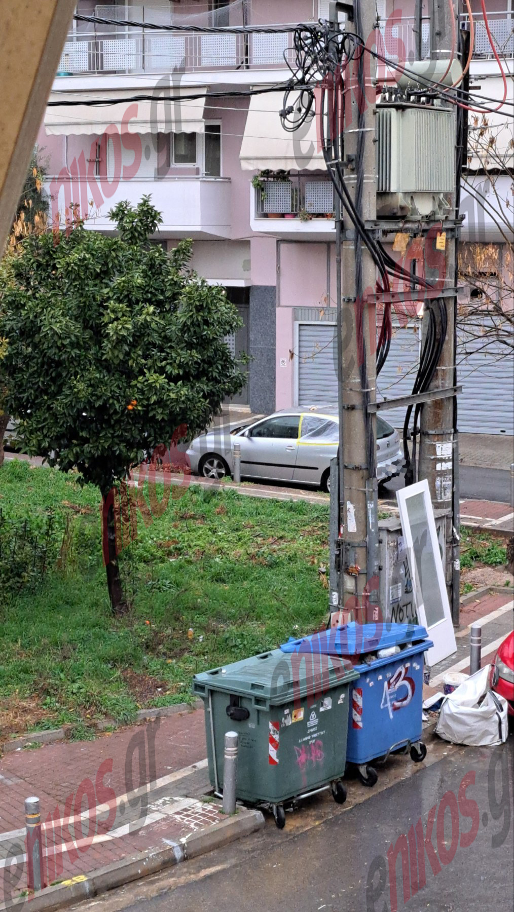 Δάφνη, πτώση δέντρου