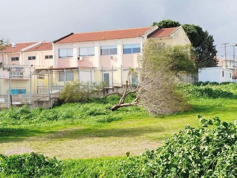 ΦΩΤΟ: Εφημερίδα "Φιλόδημος" Αιγίου