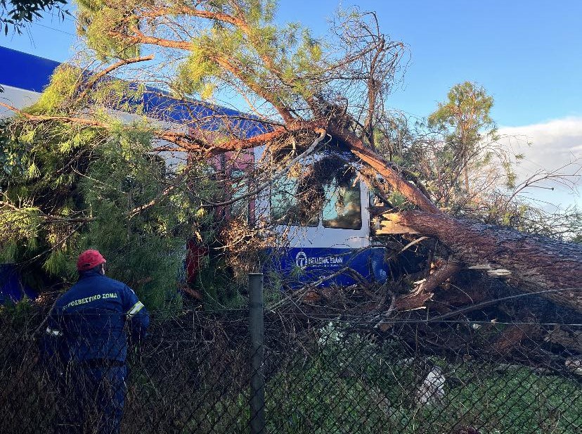 Πεύκο έπεσε πάνω σε τρένο που εκτελούσε το δρομολόγιο Πύργος – Κατάκολο – Στο νοσοκομείο ο μηχανοδηγός