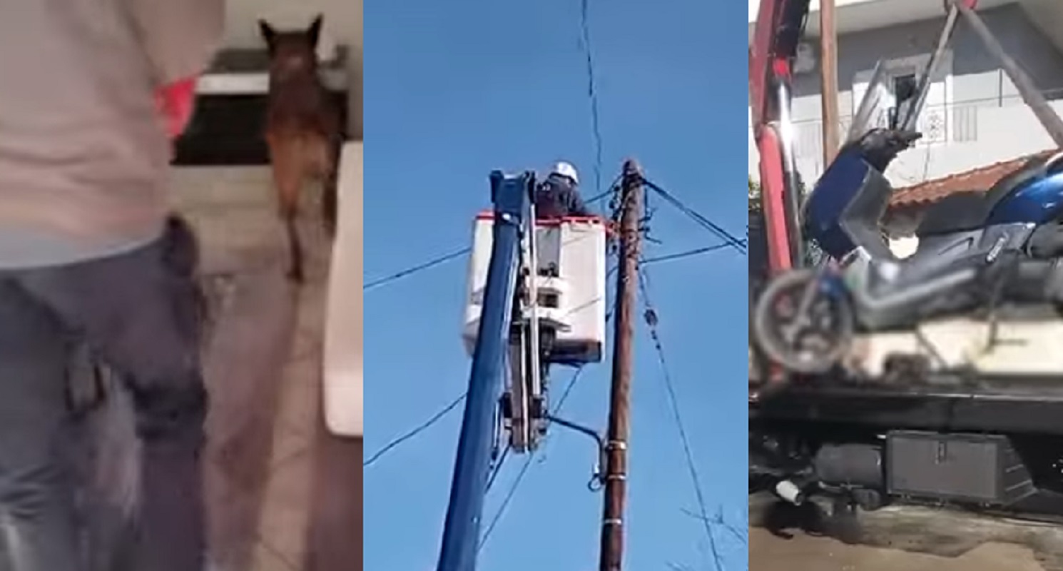 ΕΛΑΣ, Αχαρνές