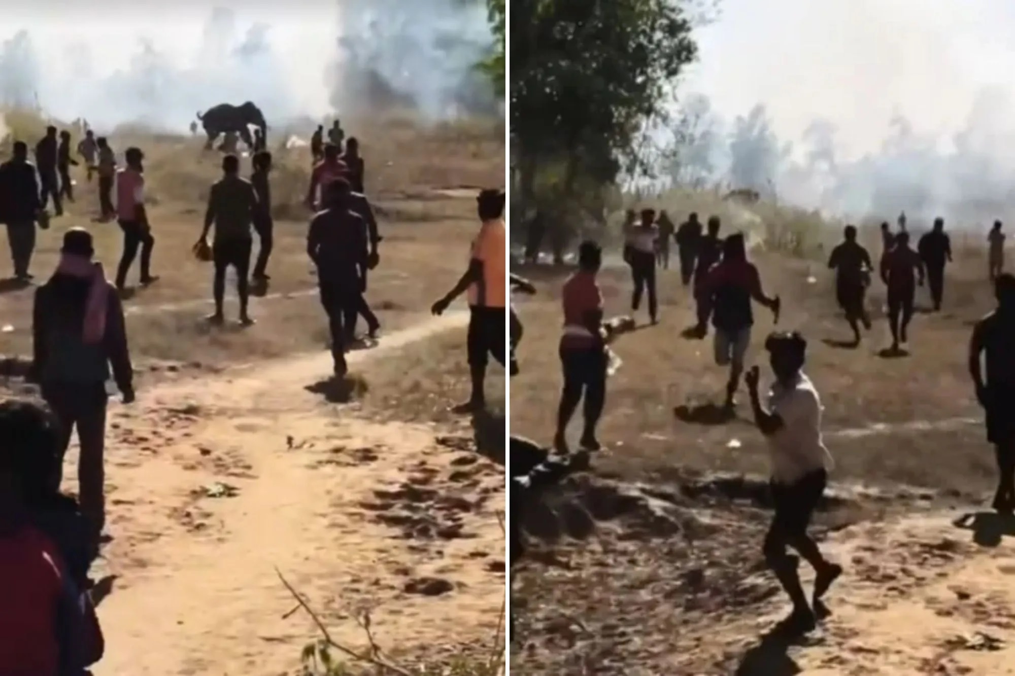 Ινδία, Ελέφαντας