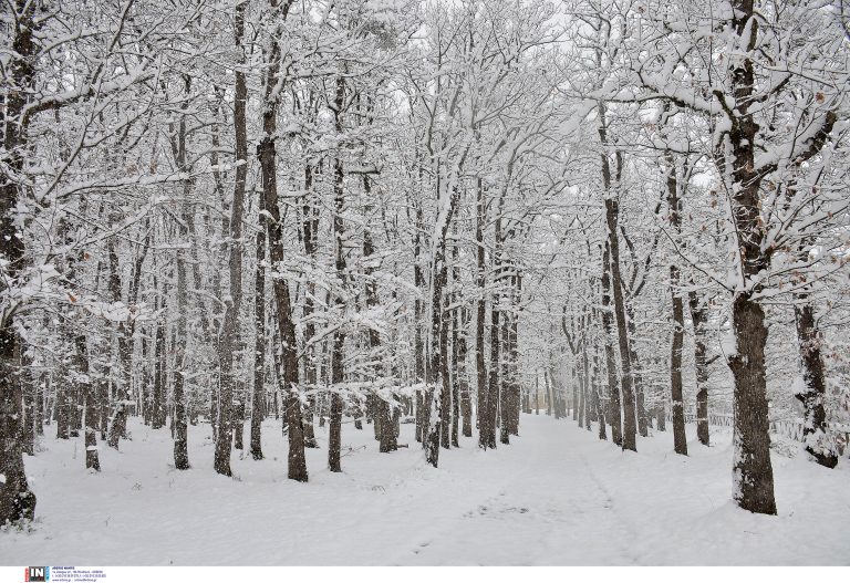 Εύβοια - χιόνια