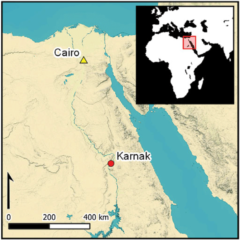 Φωτογραφία: Pennington, T.B. 2025, Antiquity