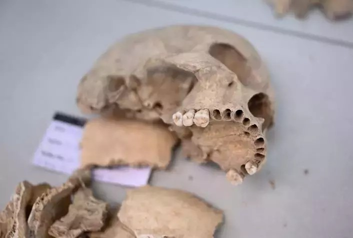 Με την ανάλυση αρχαίου DNA, οι ερευνητές ανασκεύασαν τα μοτίβα συγγένειας, κινητικότητας και πληθυσμιακής δυναμικής κατά τη διάρκεια χιλιάδων ετών. Φωτογραφία: AA 