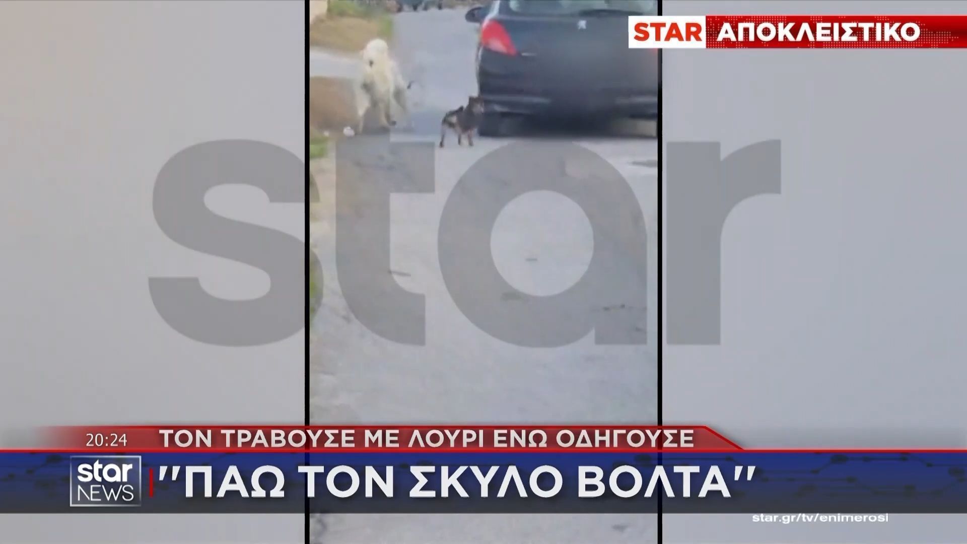 Θεσσαλονίκη: 67χρονος τραβούσε τον σκύλο του με λουρί ενώ οδηγούσε – Βίντεο ντοκουμέντο