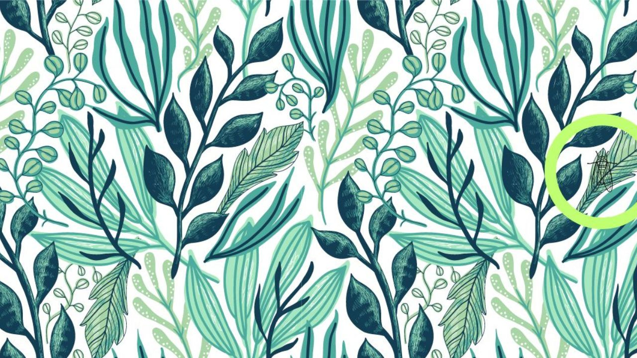 οπτική ψευδαίσθηση