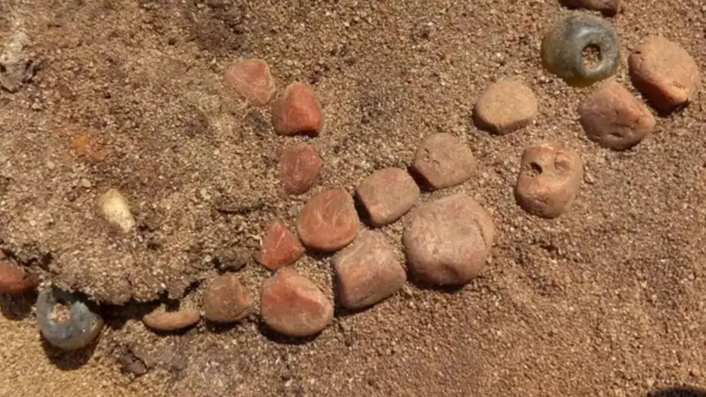 Ένα περιδέραιο από χάντρες κεχριμπαριού της Βαλτικής που βρέθηκε σε έναν τάφο, αποκάλυψε τους εκτεταμένους εμπορικούς δεσμούς της κοινότητας. Φωτογραφία: BBC 