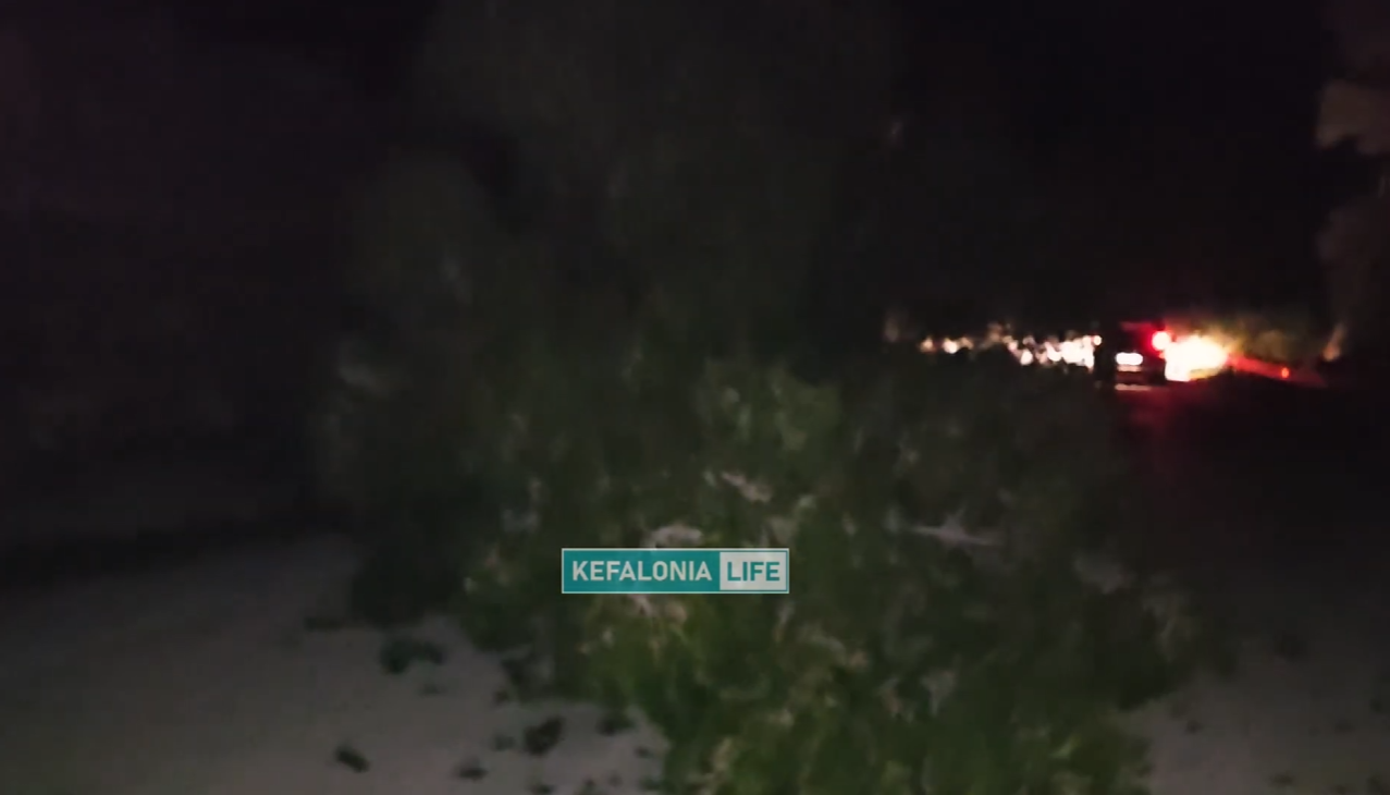 Κεφαλονιά: Πελώριο δέντρο έπεσε στο οδόστρωμα λόγω της κακοκαιρίας – ΒΙΝΤΕΟ