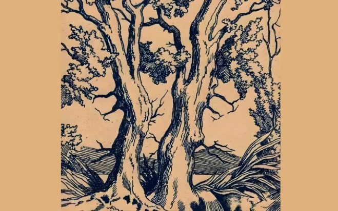 Οπτική ψευδαίσθηση, πρόσωπα 