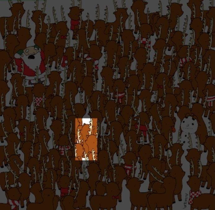 Οπτική ψευδαίσθηση, αρκούδα