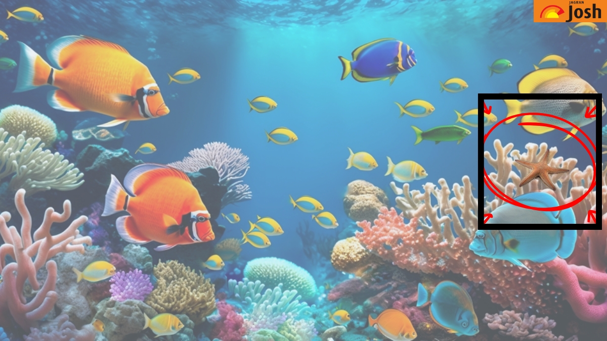 Οπτική ψευδαίσθηση, αστερίας