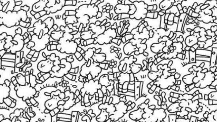 Οπτική ψευδαίσθηση, κοτόπουλο