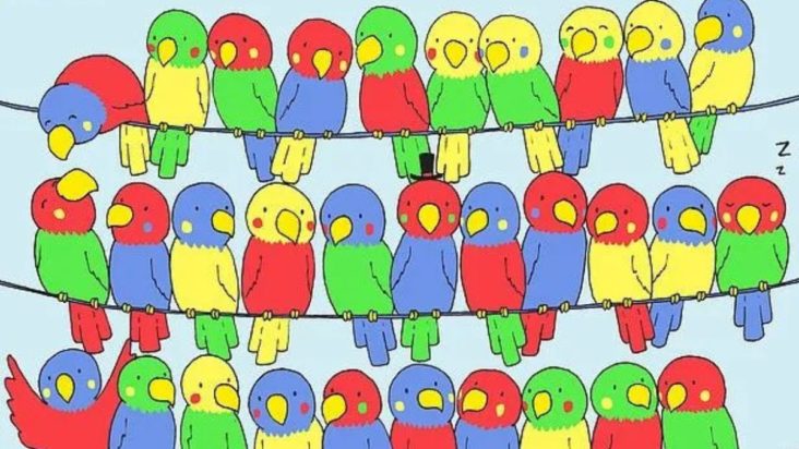 Οπτική ψευδαίσθηση, παπαγάλος