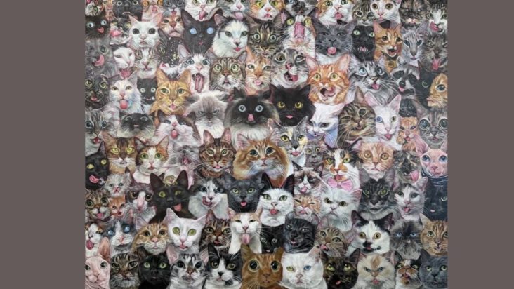 Οπτική ψευδαίσθηση, ρακούν