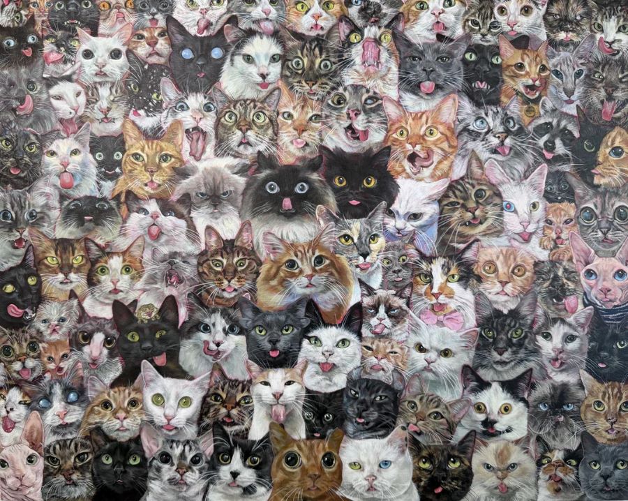 Οπτική ψευδαίσθηση, ρακούν