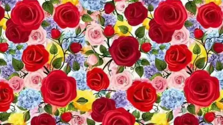 Οπτική ψευδαίσθηση, κρίνο 