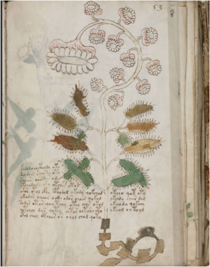 Ένα τμήμα του περίφημου Χειρογράφου Βόινιτς, το οποίο μεταφέρει πληροφορίες σχετικές με τις θεραπευτικές ιδιότητες των λουτρών σε ιαματικές πηγές. Οι πλήρεις πληροφορίες που μεταφέρονται σε αυτό το τμήμα του κειμένου, όπως και στο ευρύτερο χειρόγραφο, παραμένουν μη αποκρυπτογραφημένες. Φωτογραφία: Public Domain