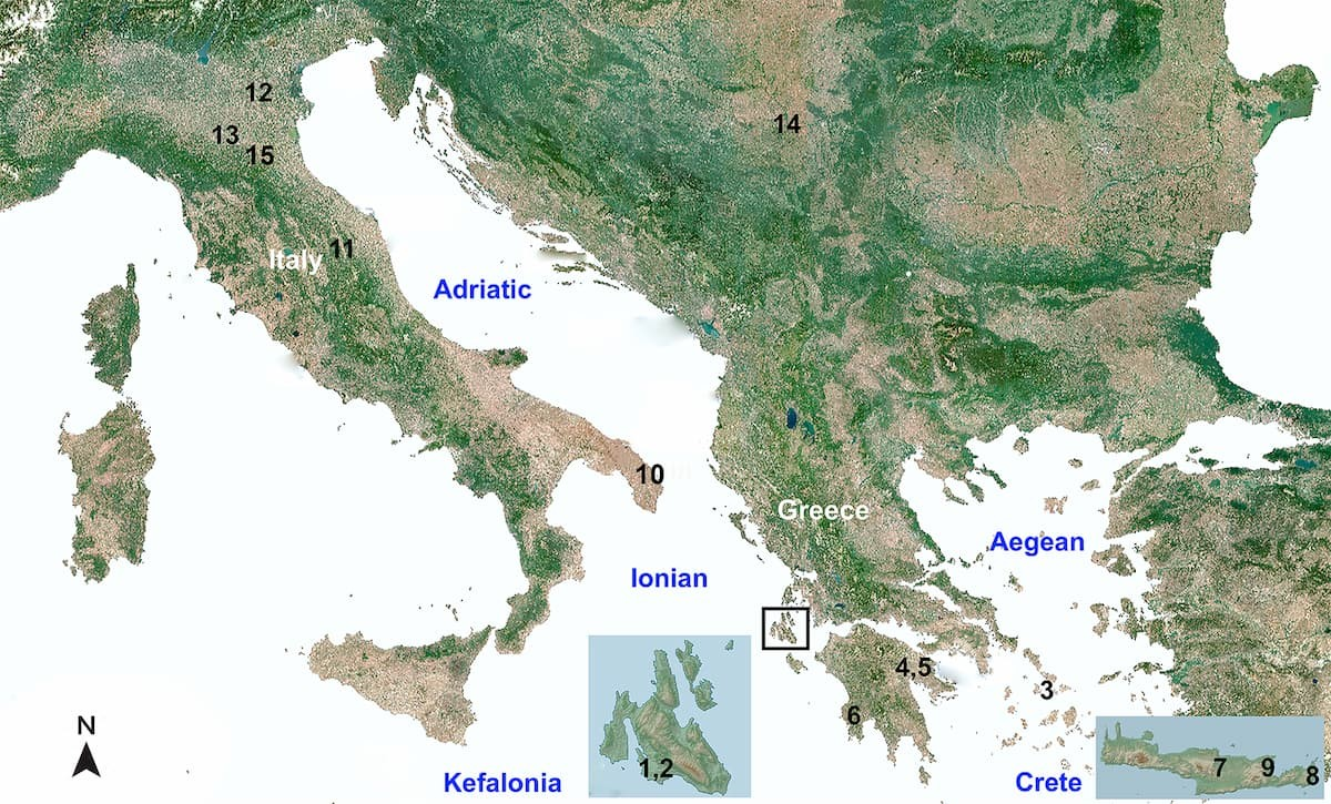 Οι τοποθεσίες που αναφέρονται στο κείμενο. Φωτογραφία: Υπηρεσία Παρακολούθησης Ξηράς Copernicus του Ευρωπαϊκού Οργανισμού Περιβάλλοντος, 2021 / Χριστίνα Σουγιουτζόγλου-Haywood 2026