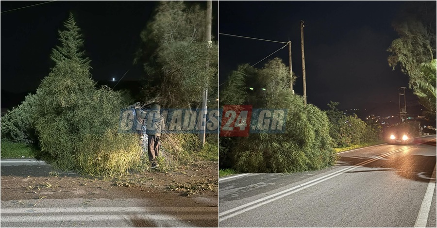 Σύρος: Σφοδροί άνεμοι έριξαν δέντρο στον δρόμο – «Άγιο» είχαν οι οδηγοί