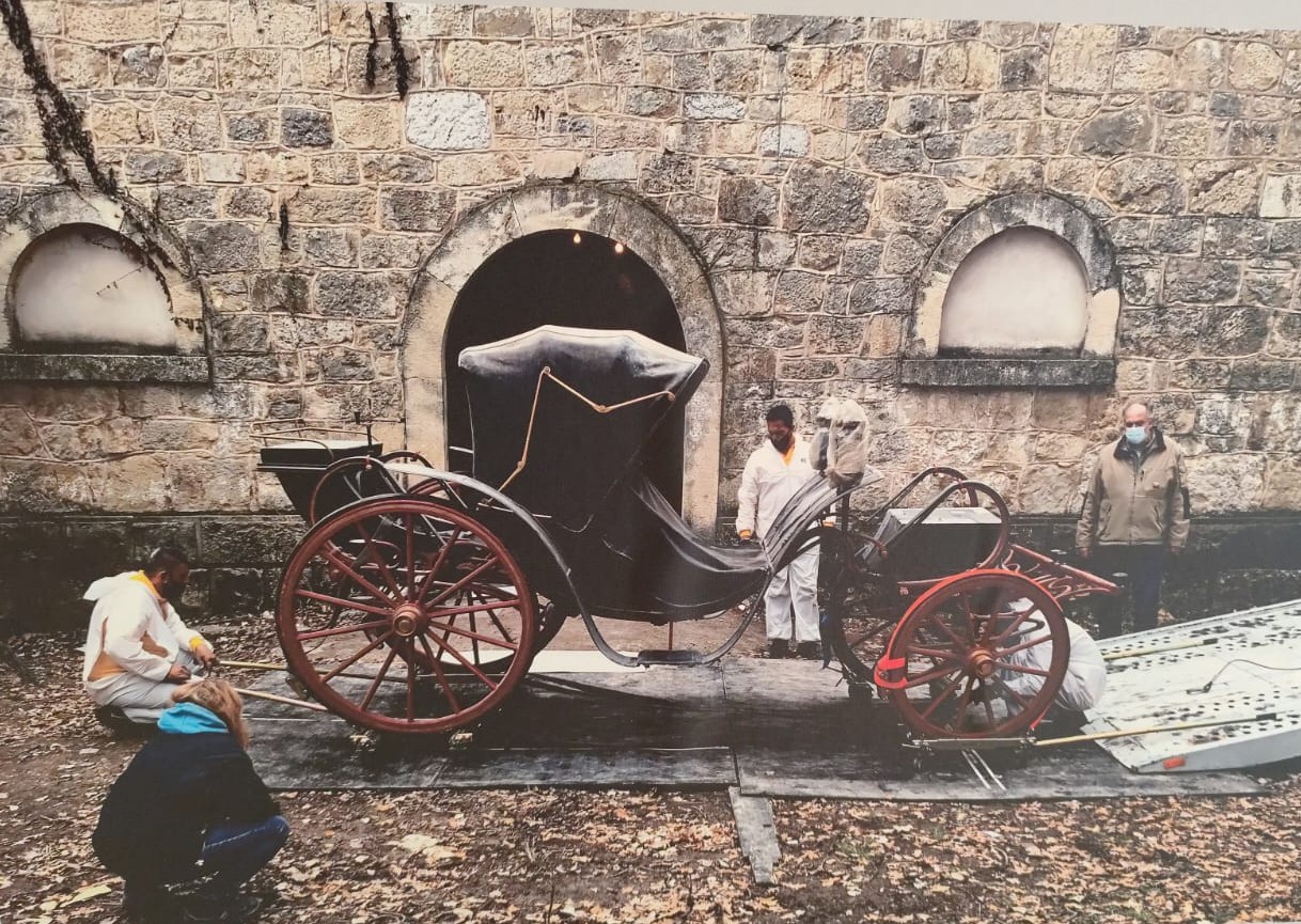 Τατόι συλλογή