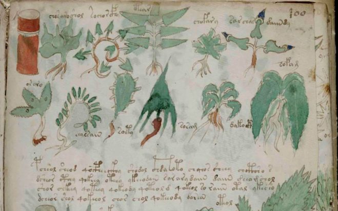 Χειρόγραφο Βόινιτς