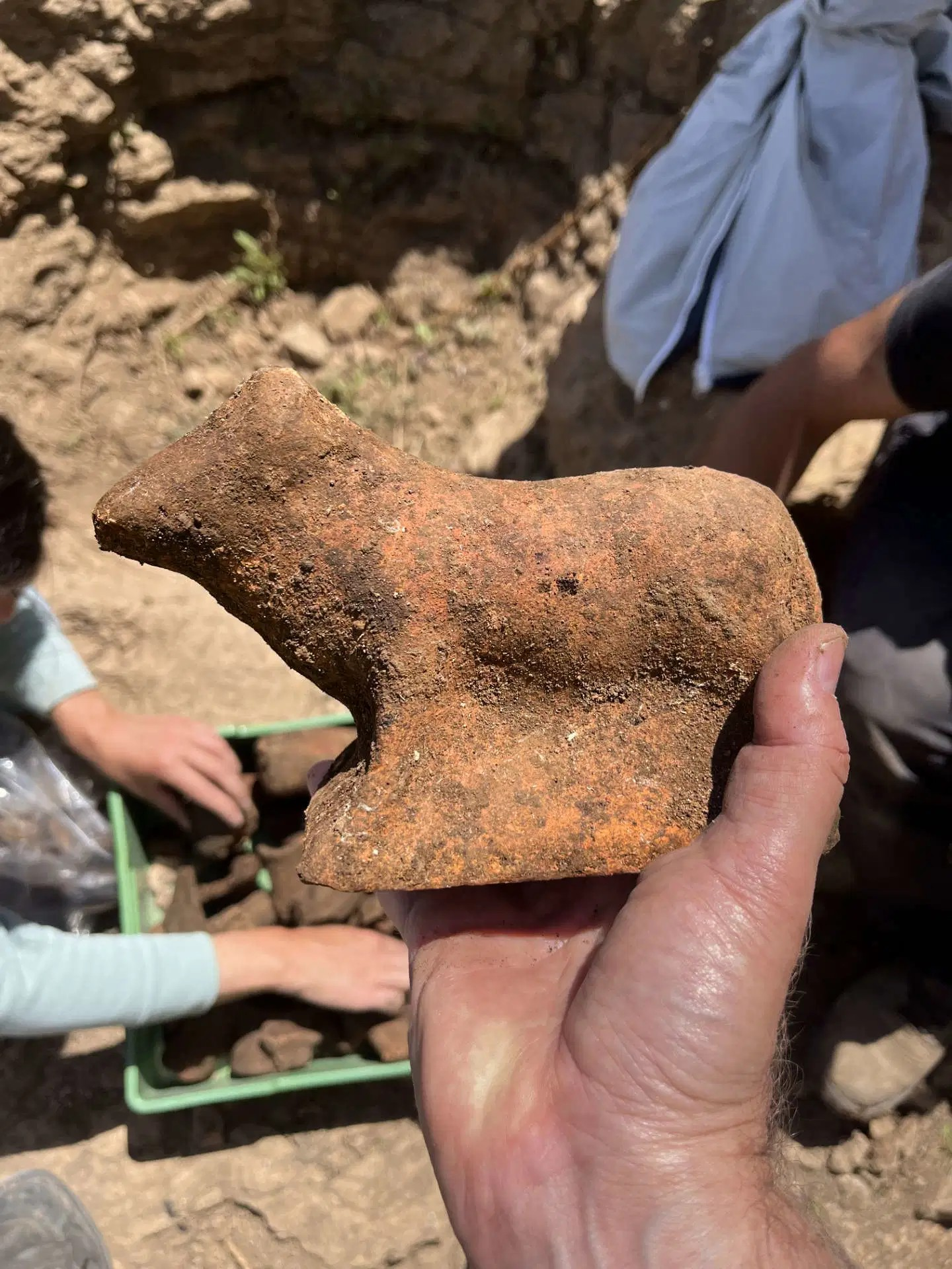 Ειδώλιο που αναπαριστά βόδι και ανακαλύφθηκε στο ιερό. Φωτογραφία: Special Superintendence of Rome