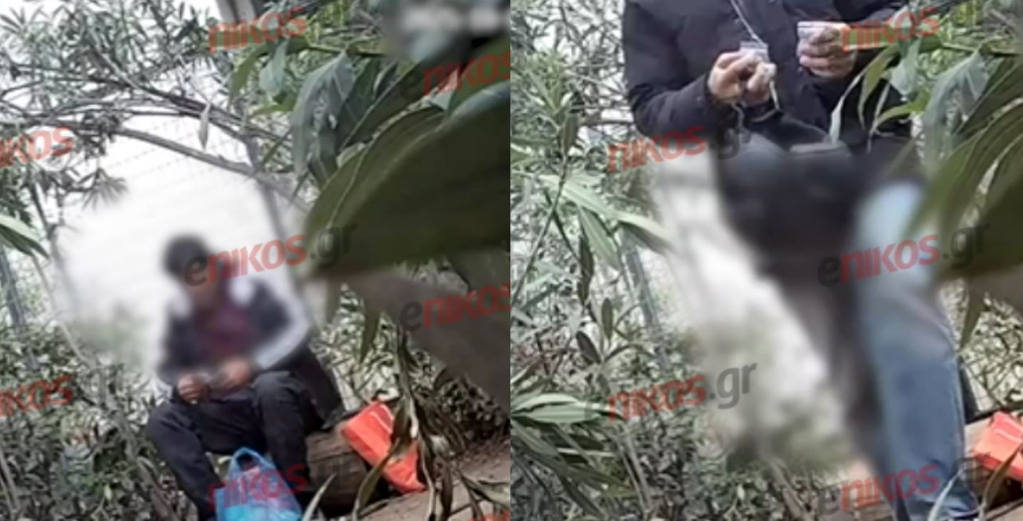 Ζωγράφου: Οι ρόλοι των μελών της συμμορίας που διακινούσε ναρκωτικά εντός της Πανεπιστημιούπολης – Βίντεο ντοκουμέντο από τη δράση τους 