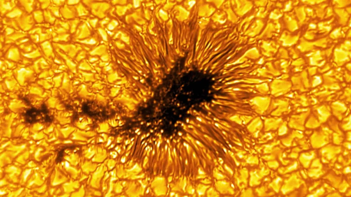 Το ηλιακό μέγιστο κορυφώθηκε τον Αύγουστο του 2024 με κατά μέσο όρο 215,5 ηλιακές κηλίδες ημερησίως. Αυτή η εντυπωσιακή φωτογραφία χρονοεξαρτημένης λήψης (time-lapse) δείχνει πώς κάθε μία από αυτές τις σκοτεινές κηλίδες διέσχισε την ηλιακή επιφάνεια εκείνο τον μήνα. Πηγή: SDO/Şenol Şanlı/Uğur Ιkizler)