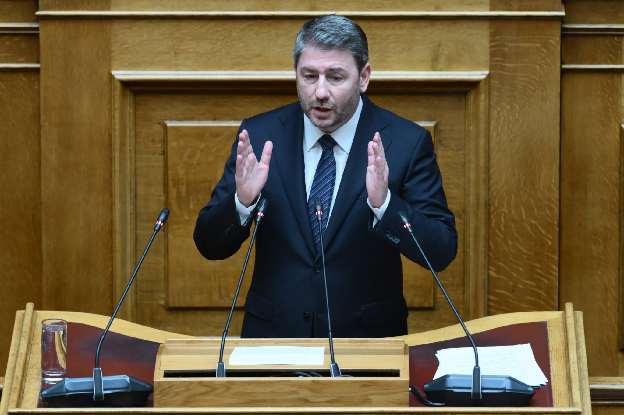 Νίκος Ανδρουλάκης