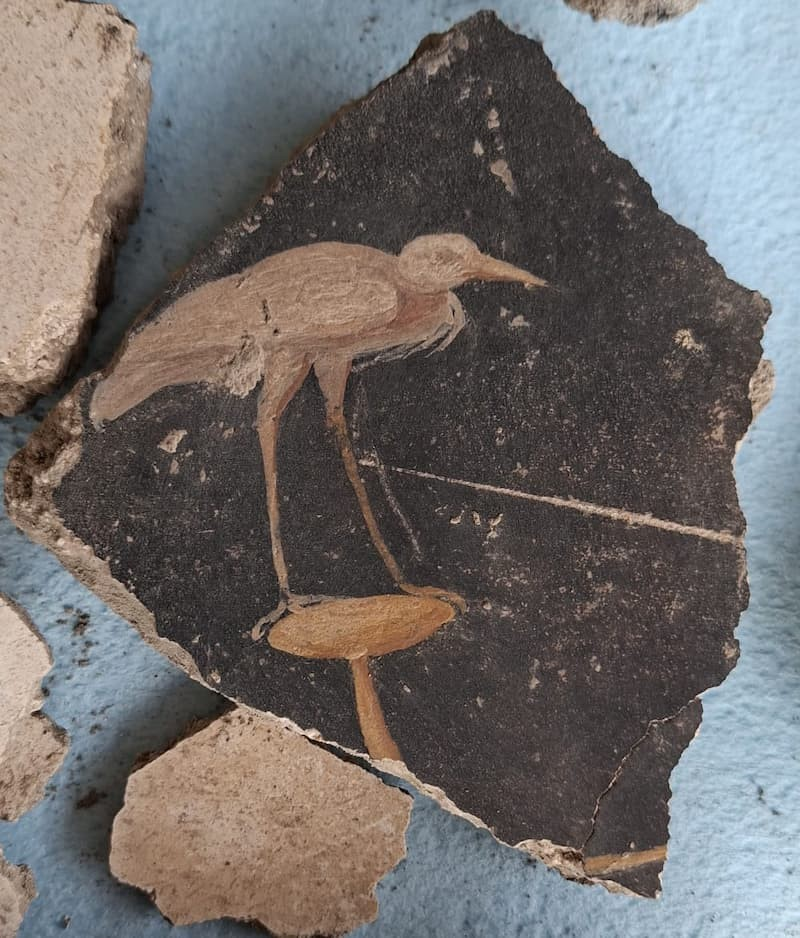 Μια ακόμη από τις τοιχογραφίες που βρέθηκαν, ένας ερωδιός. Πηγή: Υπουργείο Πολιτισμού (Ministero della Cultura)