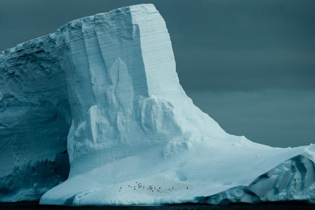 Ανταρκτική