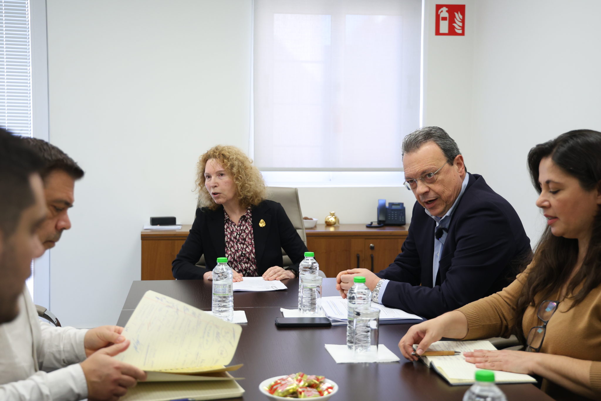 Φάμελλος - Θεοτοκάτου