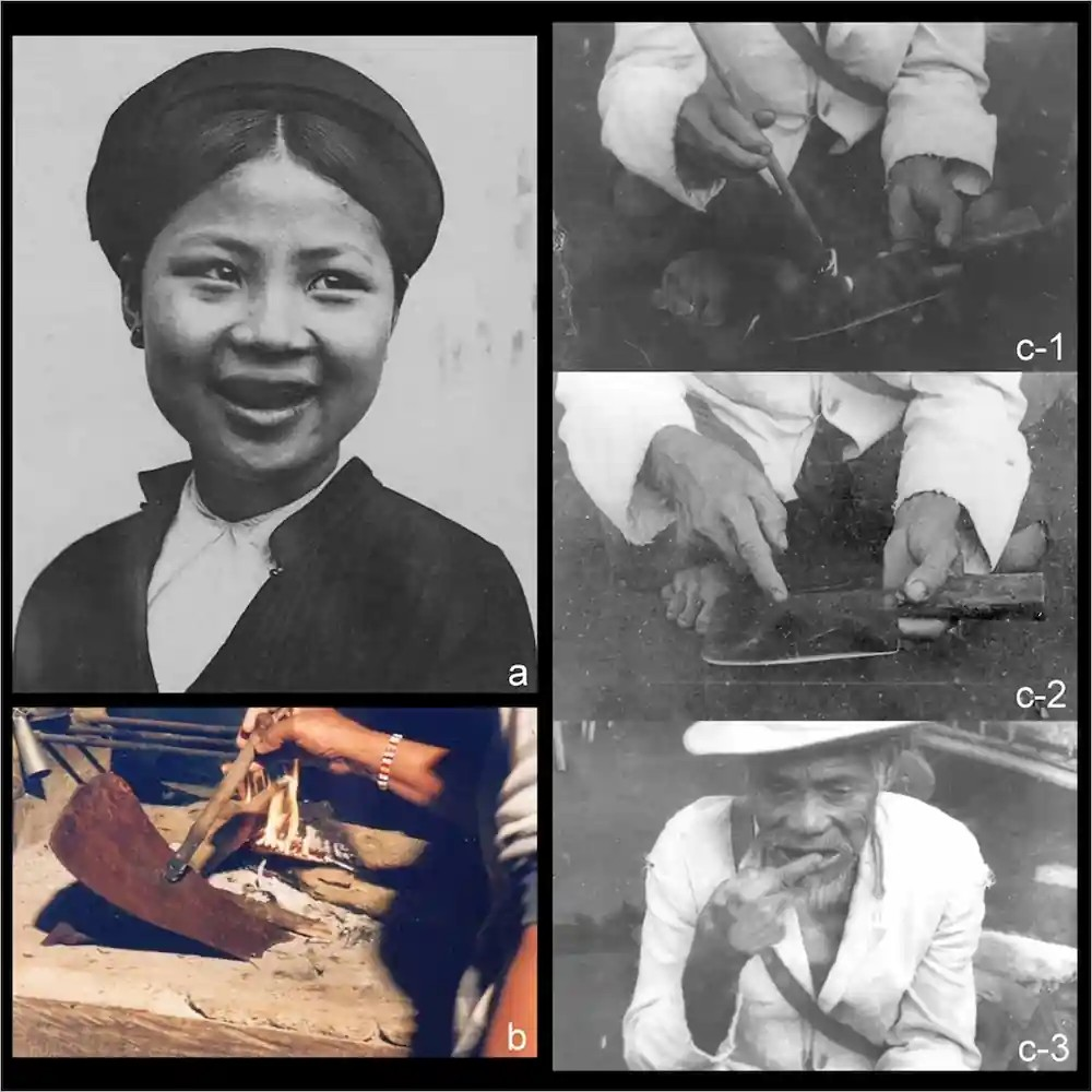 Εθνολογικές φωτογραφίες που απεικονίζουν: (α) τα μαυρισμένα δόντια των κατοίκων του Τονκίνου (βόρειο Βιετνάμ)· (β) μέλη της φυλής Gaddang (Φιλιππίνες) που συλλέγουν πισσώδη υπολείμματα από ένα αναμμένο κλαδί ξύλου πάνω σε ένα σιδερένιο γεωργικό εργαλείο, πριν τα εφαρμόσουν στα δόντια τους με το δάχτυλο· (γ) τη διαδικασία μαυρίσματος των δοντιών στους ανθρώπους της φυλής Amis (Ταϊβάν): (γ-1) συλλογή πίσσας από θερμαινόμενο ξύλο, (γ-2) τοποθέτησή της σε έναν σιδερένιο μπαλτά και (γ-3) εφαρμογή στα δόντια με το δάχτυλο. Πηγή: Pierre Dieulefils / Vincent 1997 / Zumbroich and Salvador-Amores (2010) / Man-li Ling, Μουσείο του Ινστιτούτου Εθνολογίας, Academia Sinica 