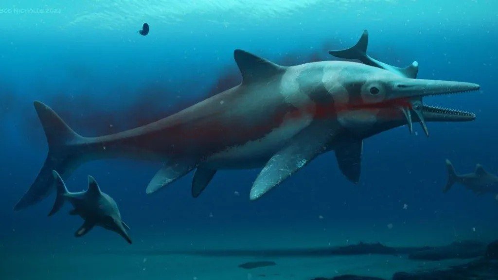 Οι ιχθυόσαυροι βρίσκονταν στην κορυφή της τροφικής αλυσίδας στις θάλασσες της Ιουράσιας περιόδου. Φωτογραφία: BBC