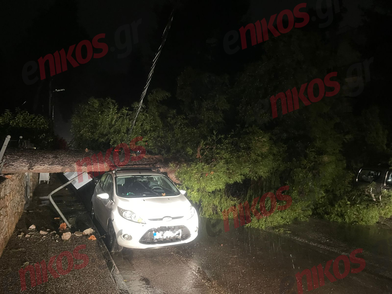 Δροσιά, Κακοκαιρία, πτώση, δέντρο