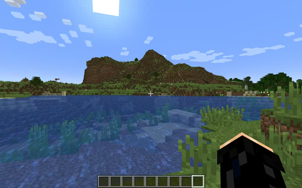 Ζούμε σε μια εξαιρετικά εξελιγμένη εκδοχή του Minecraft; (Tofli IV/Wikimedia Commons, CC BY-SA)