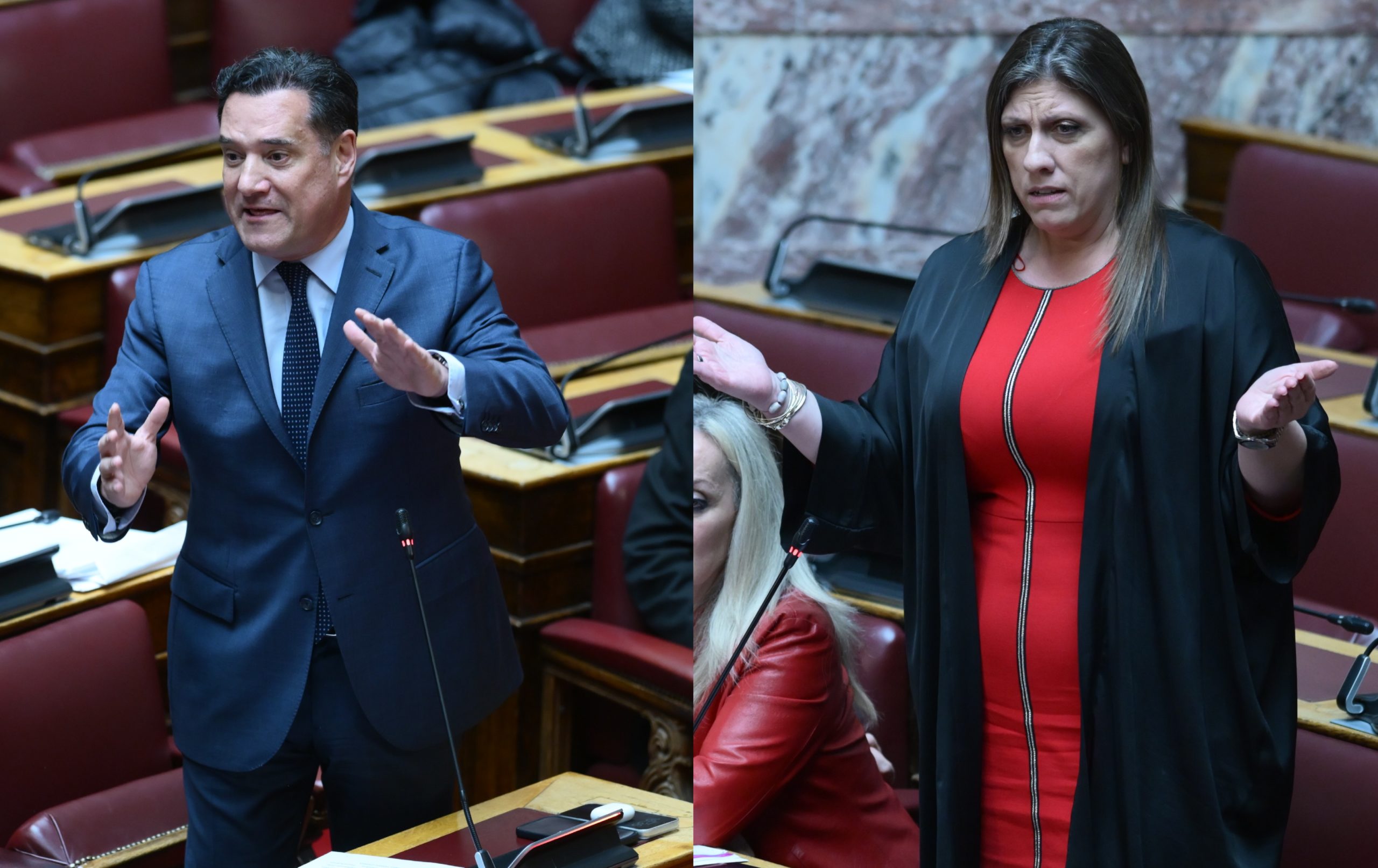 Άδωνις Γεωργιάδης, Ζωή Κωνσταντοπούλου, Βουλή